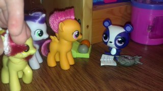 Новые Пони # Друзья в парке. Пони и Петшопы. 5 серия.Little Pony.PetShop Новые Пони