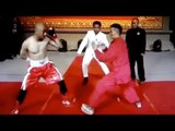 Wing Chun Kung Fu VS One Arm MMA Fighter