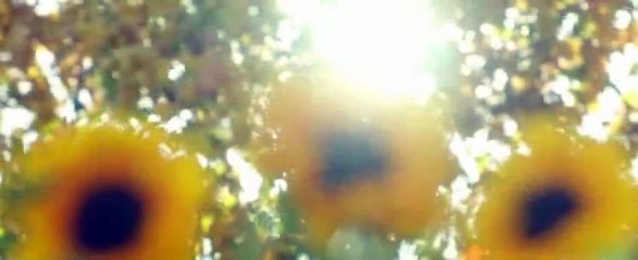 Urban Hymn 2016      Part 03