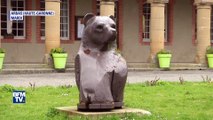 Pourquoi Hulot veut réintroduire deux ourses dans les Pyrénées