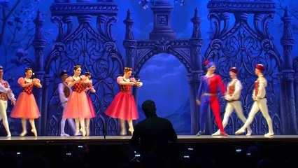 " Le Lac des Cygnes " à la Halle de Martigues : les réactions du public !