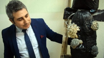 Okulun bodrum katında mantar yetiştirdiler