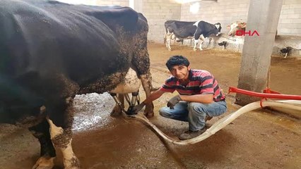 Çiftlik Bank'tan Sonra Birlik Beraberlik Çiftliği'ne Operasyon: 2 Gözaltı