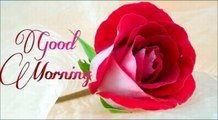 Latest Good Morning wishes, SMS, greetings, Whatsapp Video message
