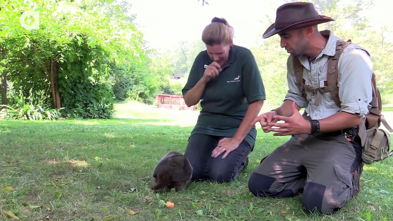 Happy Groundhog Day! - Meet the Future Star of Groundhogs Day 2!