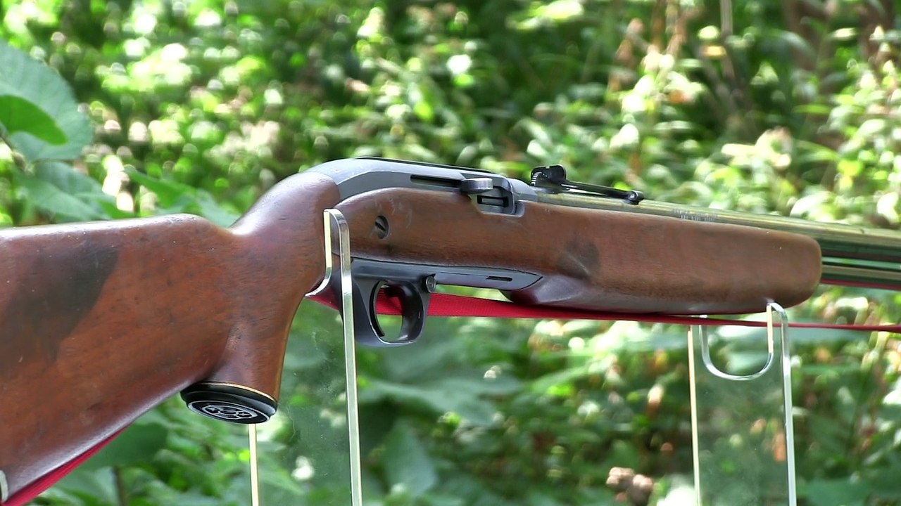 JC Higgins model 31
