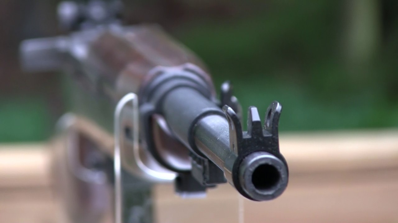 Chiappa M1 9