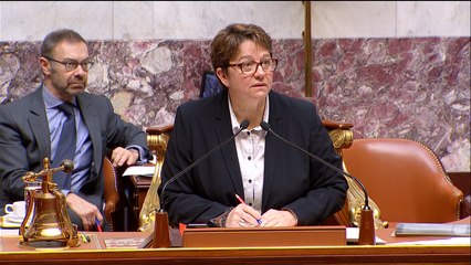 Des militants de la cause animale provoquent une interruption de séance dans l'hémicycle