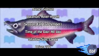 FISH GUIDE - Animal Crossing: New Leaf