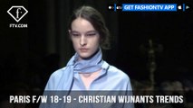 Christian Wijnants Ethereal Trends Paris Fashion Week Fall/Winter 2018-19 | FashionTV | FTV