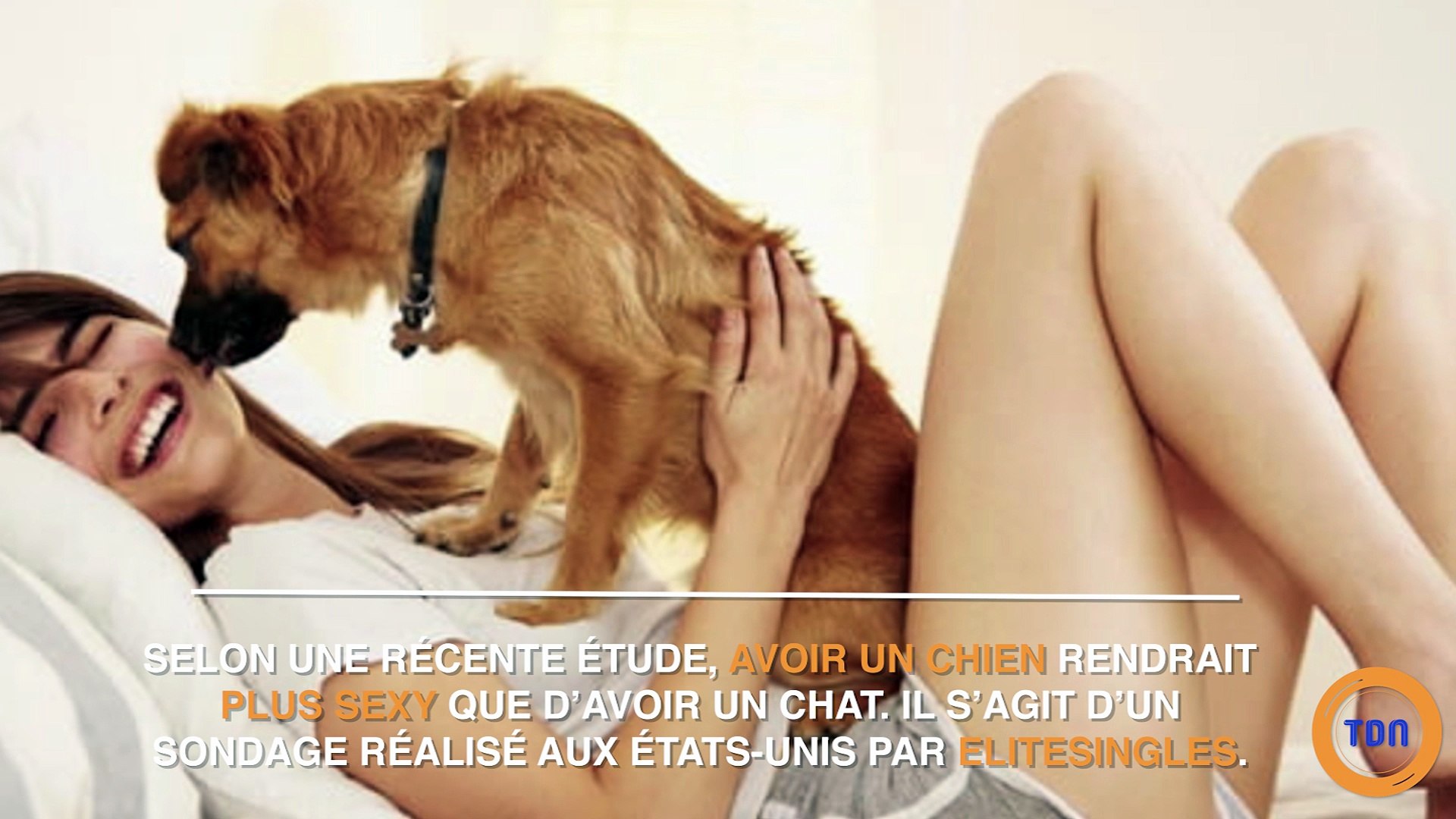 Avoir Un Chien Rend Plus Attirant Que Davoir Un Chat