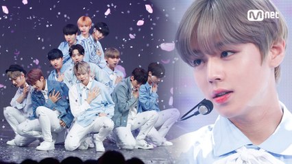 ′COMEBACK′ 팬심 저격 ′Wanna One′의 ′약속해요′ 무대