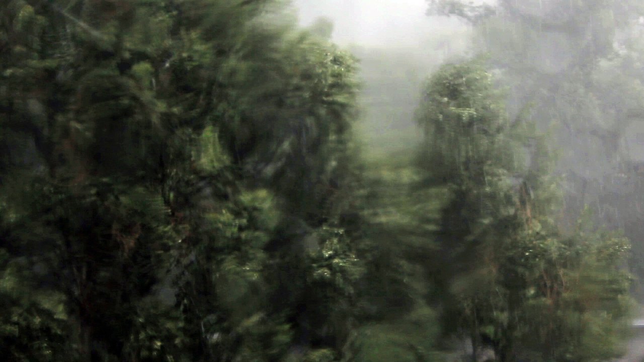 summer rain - stock footage free