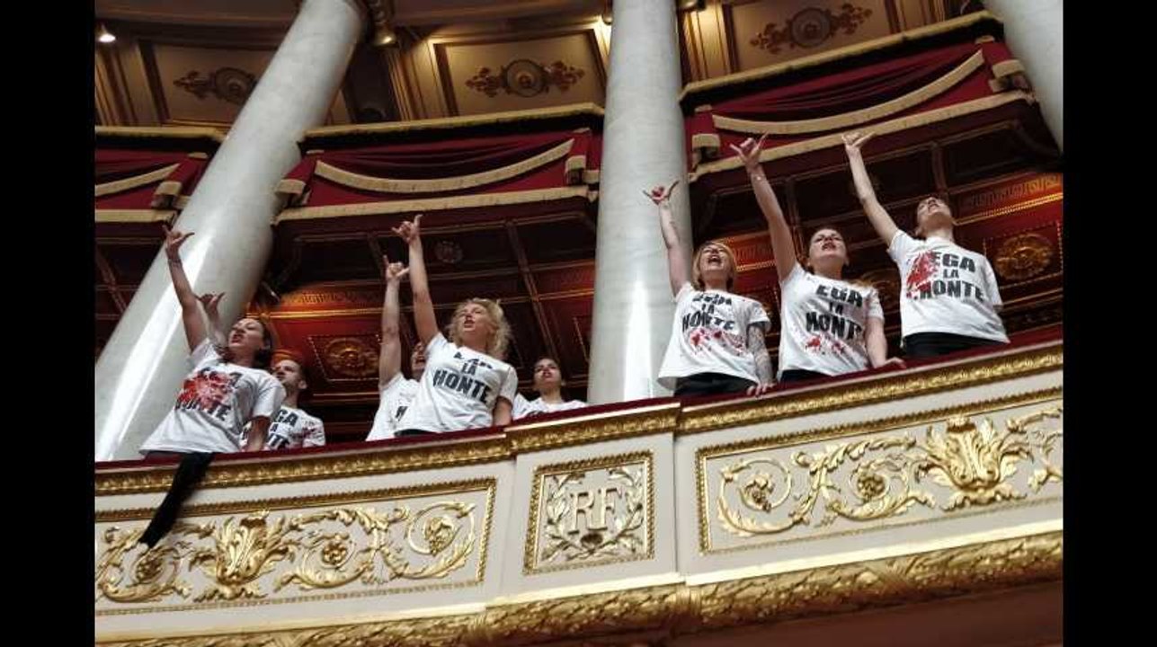 "Elevage, esclavage!": des militants de la cause animale à l'Assemblée