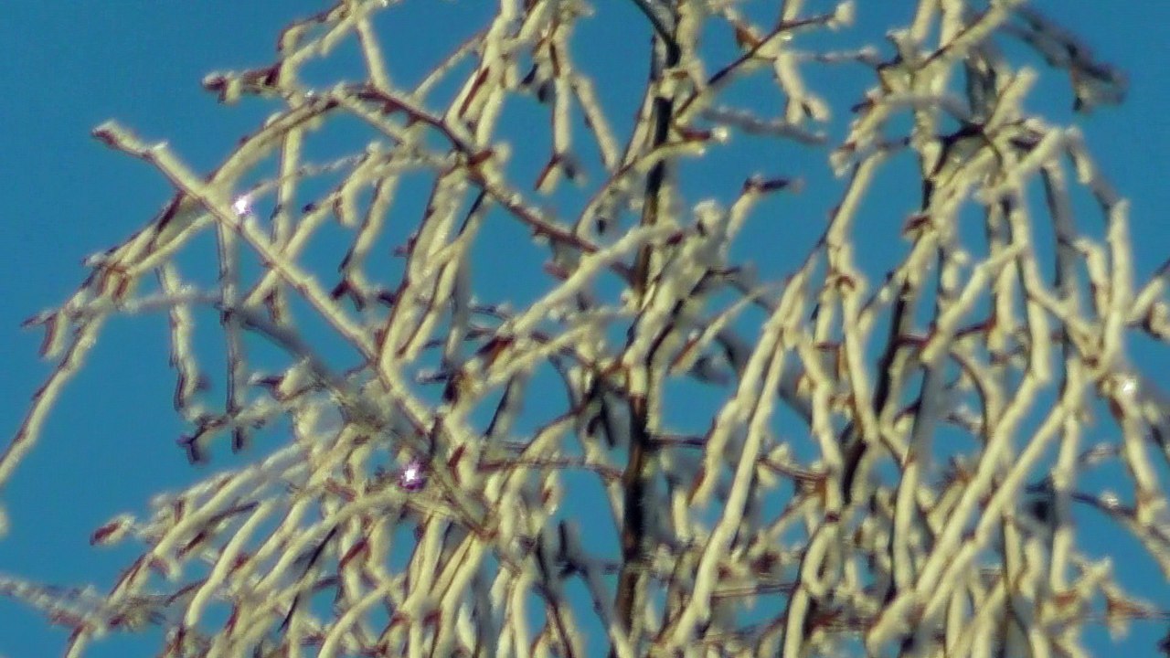 March 29 2018 DL2