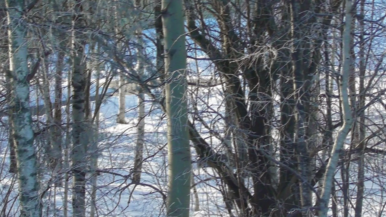 March 29 2018 DL7