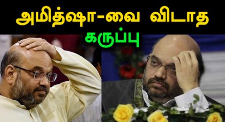 மோடி அரசு ஏழைகளுக்கு எதுவும் செய்யாது என அமித்ஷா பேசியதாக மொழிபெயர்த்ததால் சர்ச்சை- வீடியோ