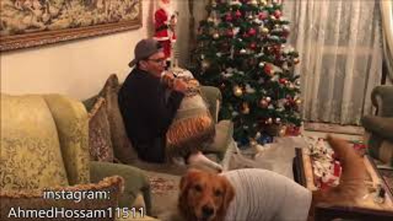 أحمد حسام|Ahmed Hossam مع الكلب