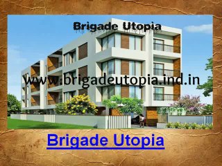 Brigade Utopia Whitefield