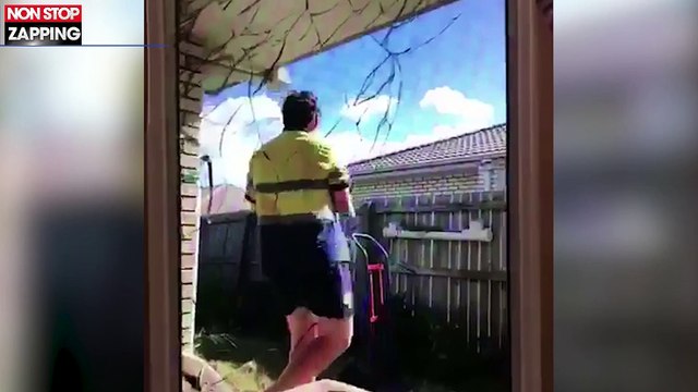 Un homme s'amuse à jeter un chat par-dessus une clôture, la vidéo choc