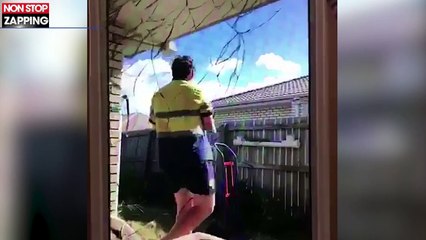 Un homme s'amuse à jeter un chat par-dessus une clôture, la vidéo choc