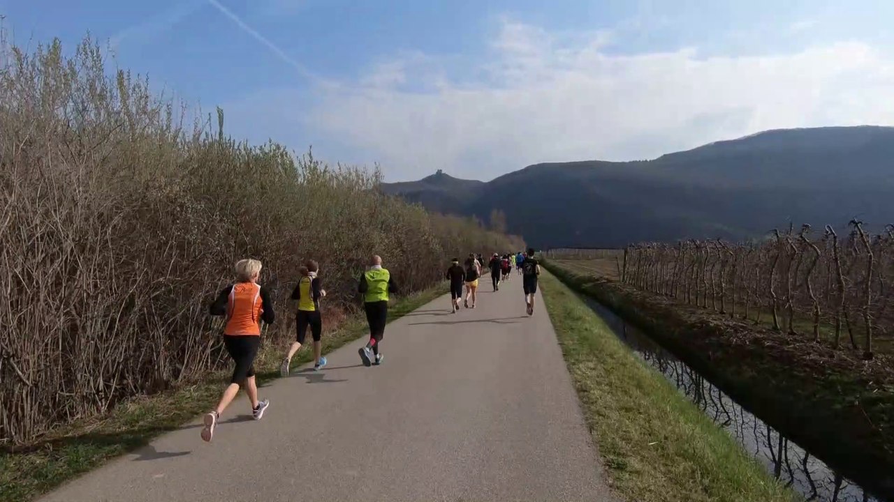 Kalterer See Halbmarathon 2018