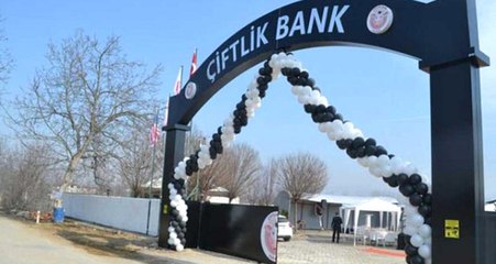 Çiftlik Bank Tesisindeki Tavuklar İhaleyle Satıldı