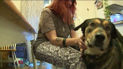 Neighbor ‘Snapped,’ Fatally Shot Man in Dispute Over Dog: Family