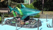 地下の水族館アンダーウォーターワールド！カメや魚やサメをみた【こうちゃん】Sharks and fish at Under Water World in Singapore!