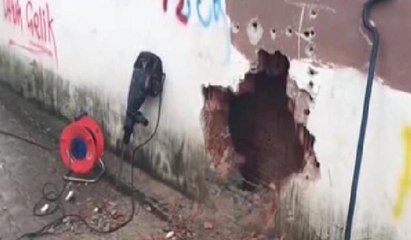 Duvar arasında sıkışan köpekler kurtarıldı