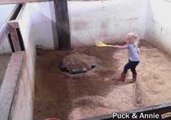 Little Girl Cleans Up After Her Ponies