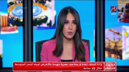 إعادة 4 سلاحف بحرية مهددة بالانقراض لمياه البحر المتوسط