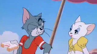 Salt Water Tabby - Tom and Jerry (31)