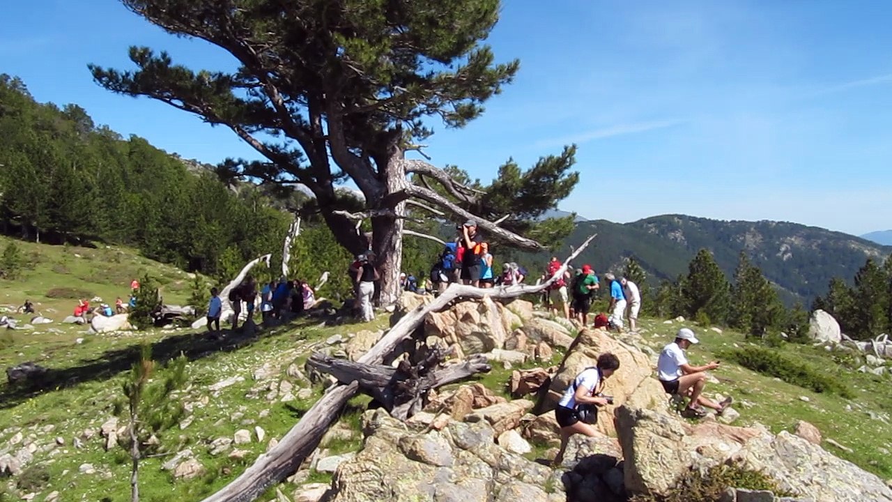 GR20-3