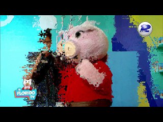 PROGRAMA EL FLORIDO TV MIERCOLES 28 DE MARZO 2018