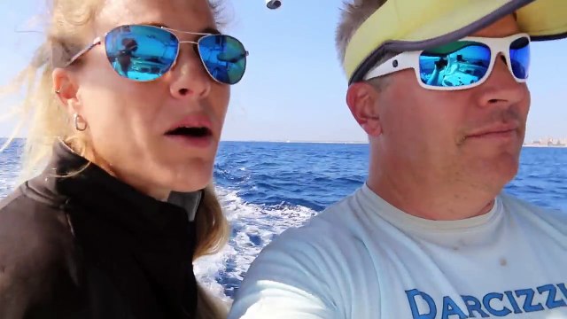 DEEP SEA Fishing in ROUGH Seas + Bluefish Surprise Catch!