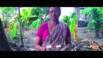 കൊടുപ്പന പോളക്കൽ Changanacherry  Koduppana Polackal by Martin Varghese (Private Video)