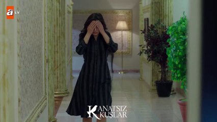 Kemal, Nefise’yi kendi evinde tehdit ediyor! - Kanatsız Kuşlar 40.Bölüm