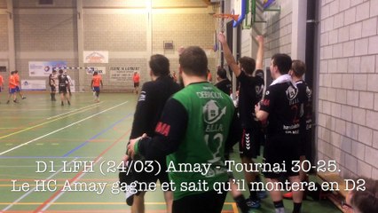 Handball: Amay bat Tournai et monte en D2 nationale
