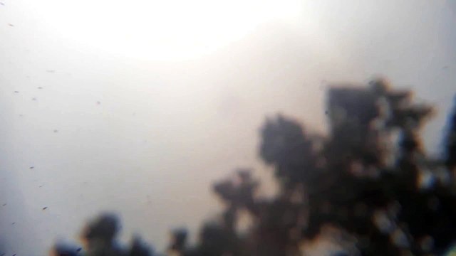 March 28 NIBIRU Sighting Texas Sky Planet X Wormwood The Incoming Planets