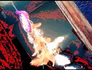 Filtro dos sonhos (Teia)