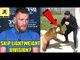 Conor Mcgregor won't return to lightweight division if Khabib wins at UFC 223?,Ronda Rousey