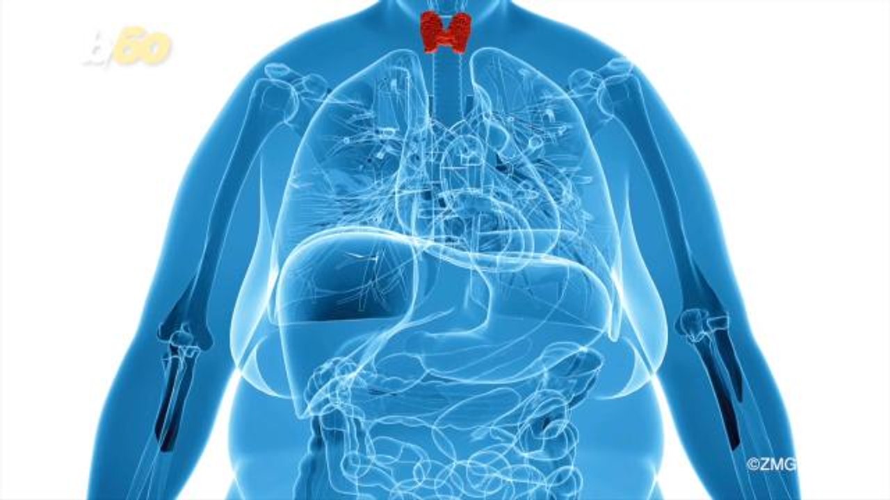 Research Says Cutting Calories May Slow The Aging Process