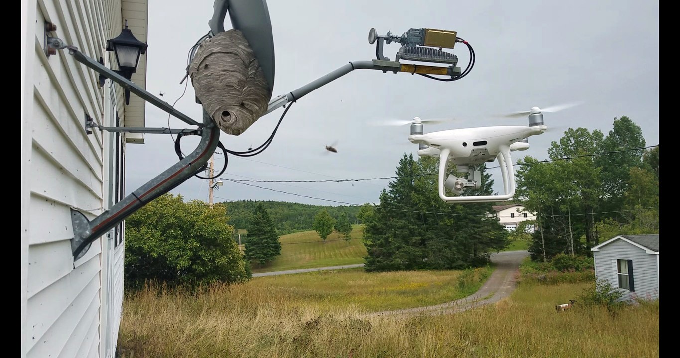 Hornet-Fighting Drone