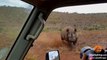 Des touristes en plein safari se font charger par un rhinocéros