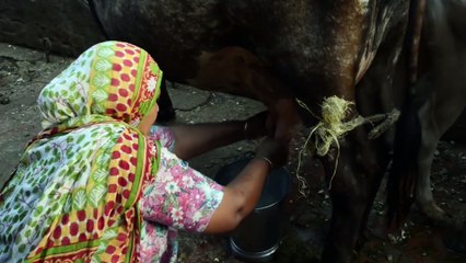 Environmental Issues in India Part 3