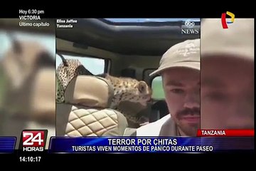 Tanzania: turistas viven momentos de terror durante safari