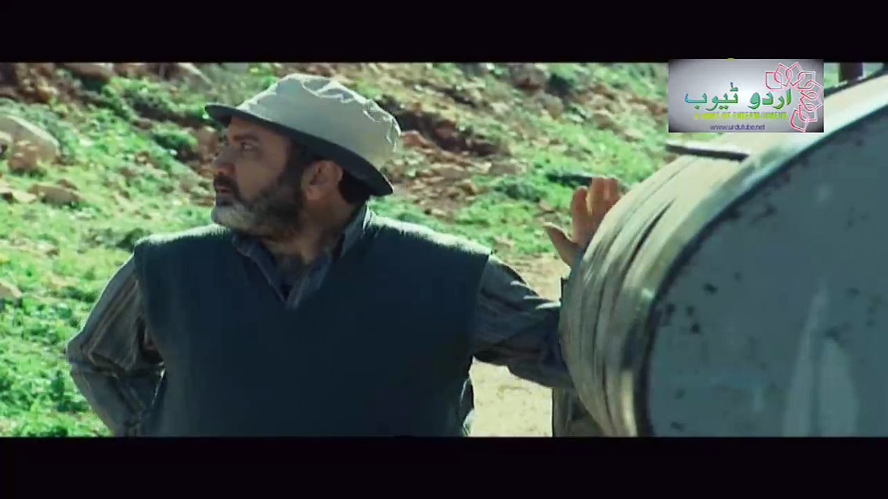 ahlwfa