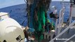 Great Pacific Garbage Patch: A trash pile twice the size of Texas