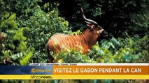 Visit Gabon during the Africa Cup of Nations [Travel]